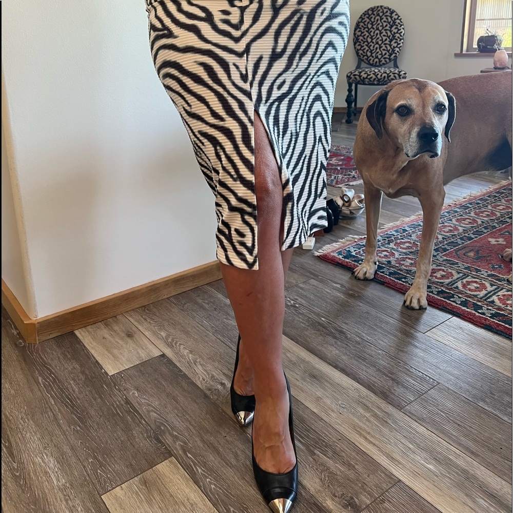 Rules of Etiquette Zebra Print MIDI Skirt